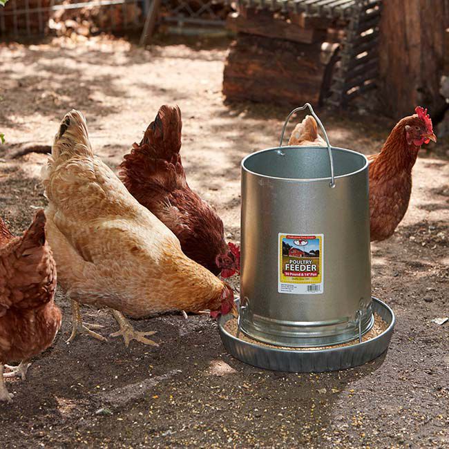 Little Giant Hanging Metal Poultry Feeder - 30 lb Capacity image number null
