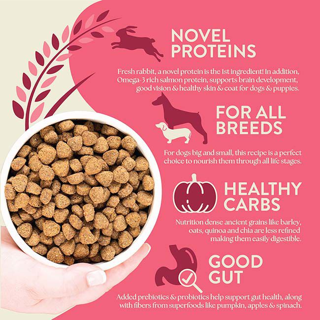 Earthborn Holistic Dog Food - Unrefined Roasted Rabbit Recipe image number null