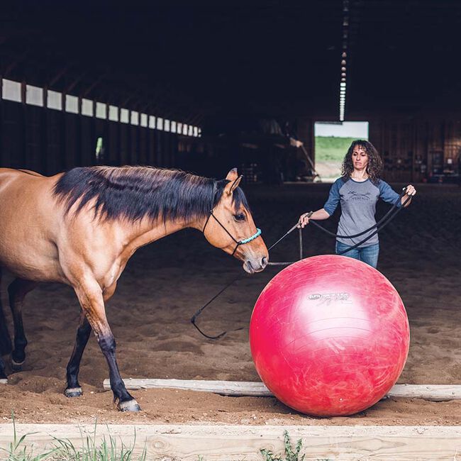 Weaver Equine Stacy Westfall Activity Ball image number null