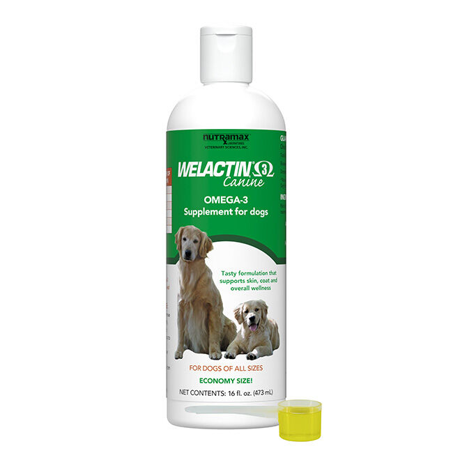Nutramax Welactin Omega 3 Fish Oil for Dogs, Skin and Coat Health Supplement, Plus Joint, Immune, Kidney, and Brain Support, Premium Omega 3 Fatty Acids, For Dogs of all Sizes - 16 oz image number null