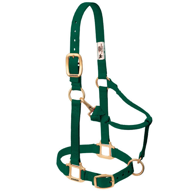 Weaver Adjustable Nylon Halter - Hunter Green image number null
