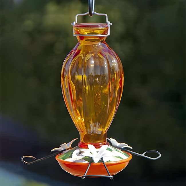 Audubon Fluted Glass Oriole Feeder image number null