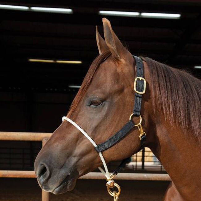 Professional's Choice Rope Nose Nylon Halter image number null