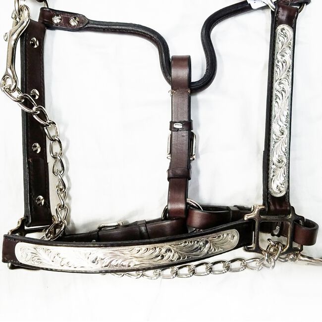 Tory Leather Rochester Style Show Halter - Closeout image number null