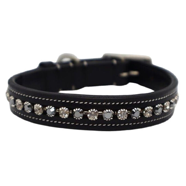 KL Select Crystal Dog Collar - Impulsion image number null