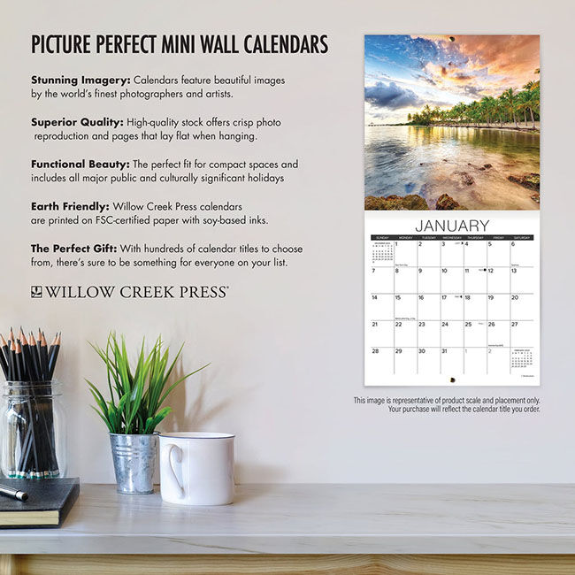 Willow Creek Press 2024 Mini Wall Calendar - Just Labs image number null