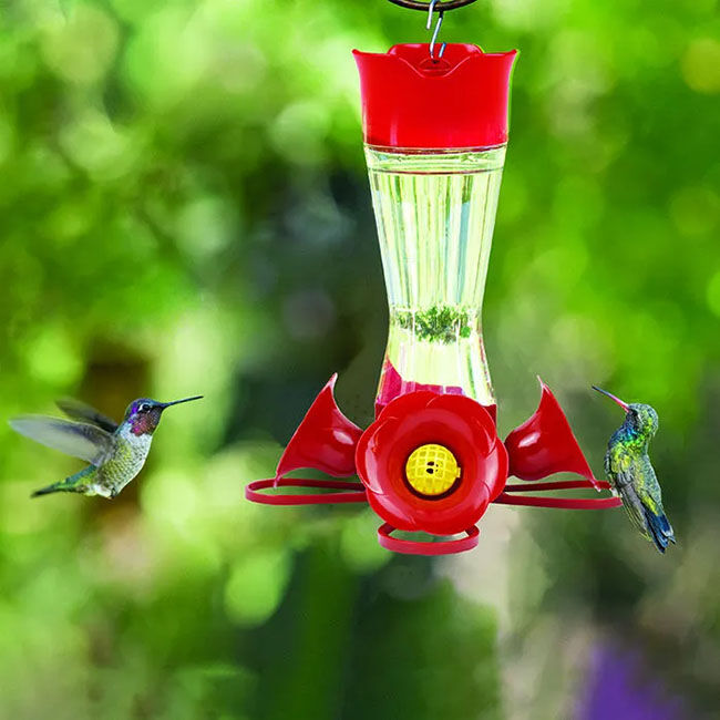 Perky-Pet Pinch-Waist Glass Hummingbird Feeder - Clear - 8 oz image number null