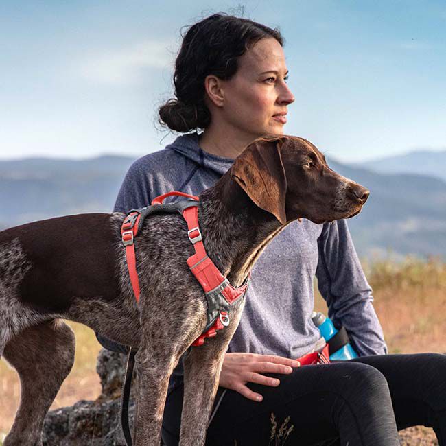 Kurgo Journey Air Dog Harness - Coral image number null