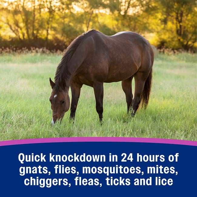 Farnam EquiCare Flysect Super-7 Fly Repellent image number null