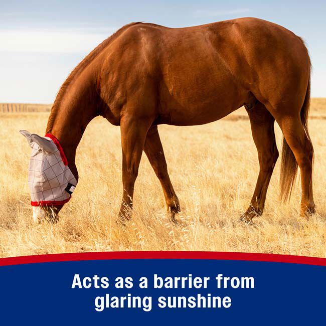 Farnam SuperMask II with Ears image number null