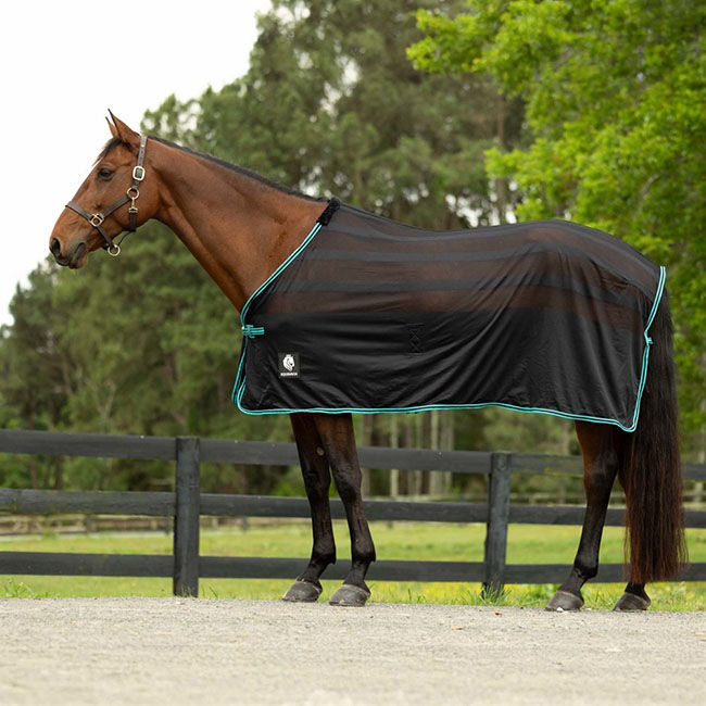 Equinavia Sefyr Scrim Sheet - Black/Turquoise image number null