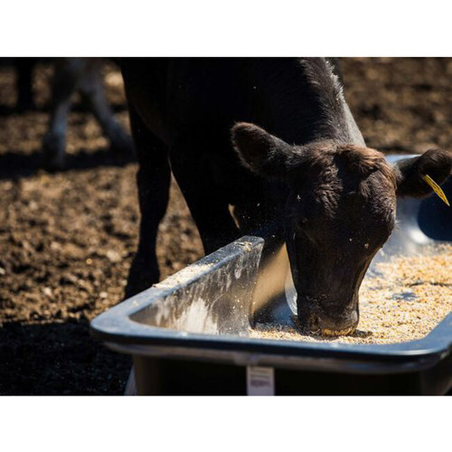 Tarter 10' Economy Bunk Feeder image number null