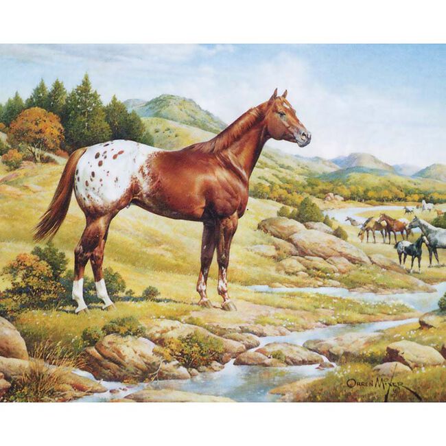 Breyer The Ideal Series - Appaloosa - Fourth in the Series - A Collection Inspired by the Art of Orren Mixer - Closeout image number null