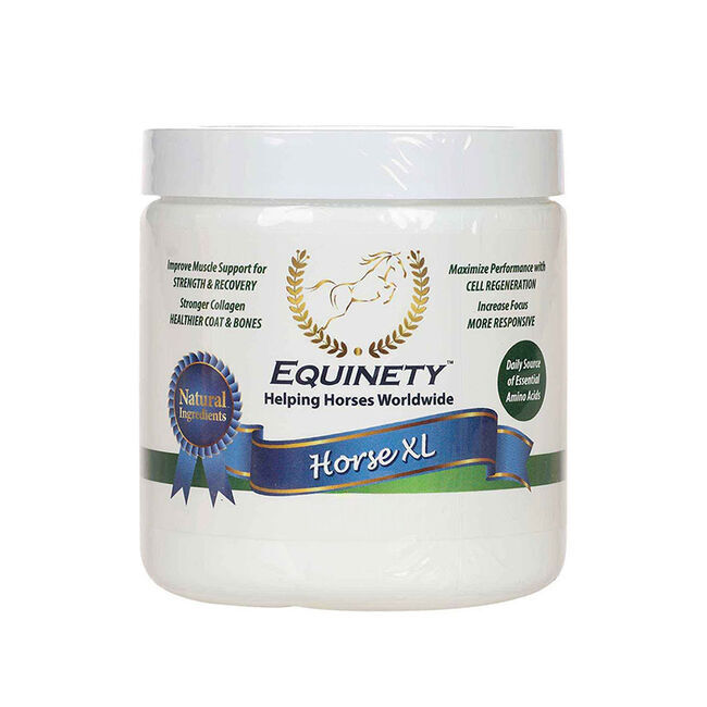 Equinety Horse XL image number null