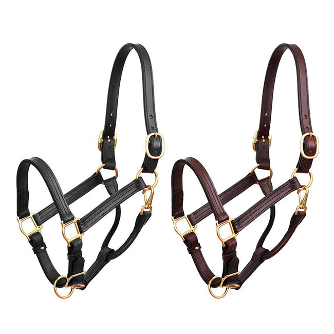 Perri's Leather Premium Leather Show Halter image number null