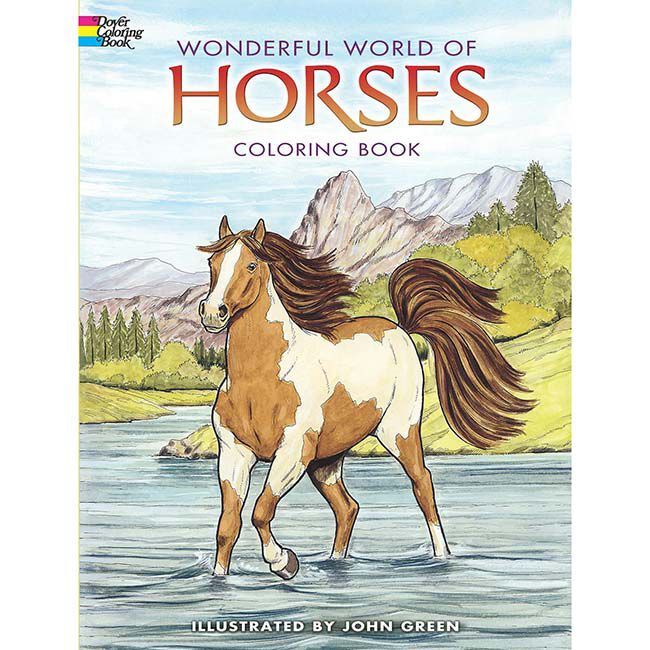Wonderful World of Horses Coloring Book image number null