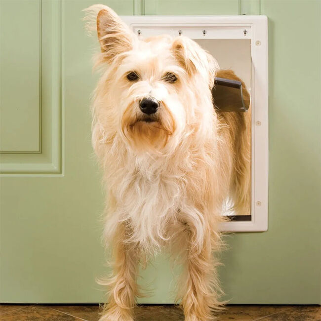 PetSafe Plastic Pet Door image number null
