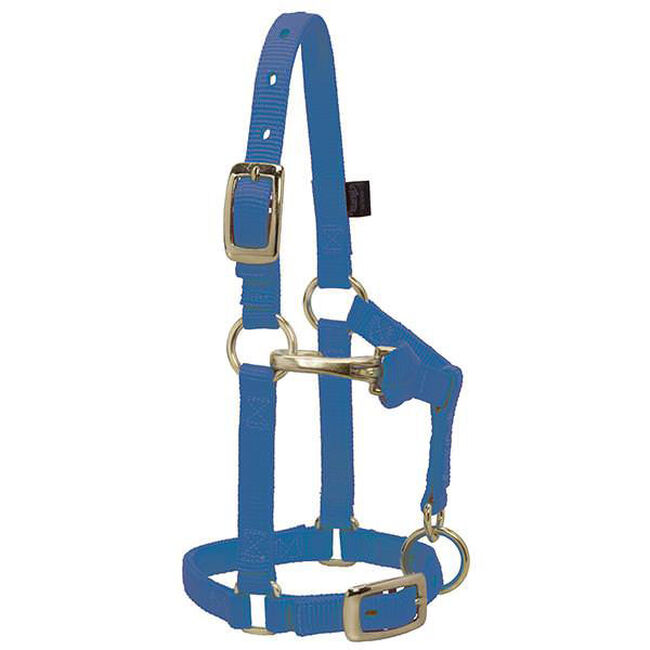 Weaver Mini Horse Adjustable Chin & Throat Snap Halter image number null