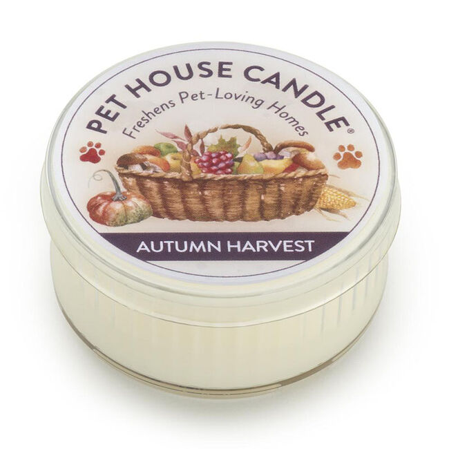 Pet House Candle Autumn Harvest Mini Candle image number null