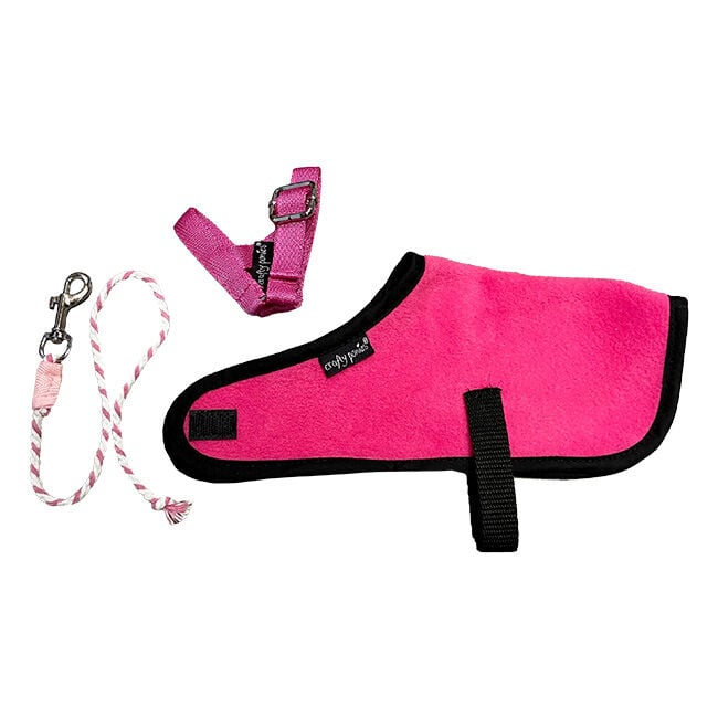 Crafty Ponies Foal Rug Set image number null