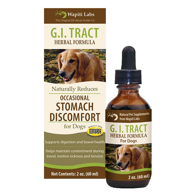 Wapiti Labs GI Tract Herbal Supplement for Dogs - 2 oz image number null