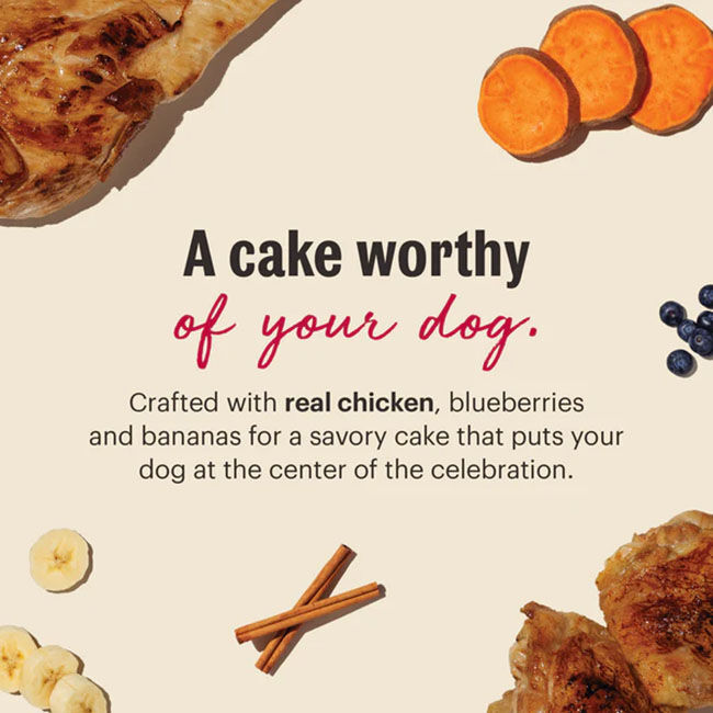 The Honest Kitchen Muffin Mix for Dogs - Chicken & Blueberries - 7.5 oz image number null