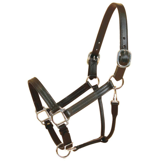 Tory Leather Triple Stitched Track Halter Black with Nickel Hardware image number null