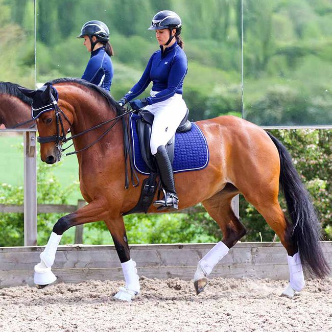 Woof Wear Ergonomic Fly Veil image number null