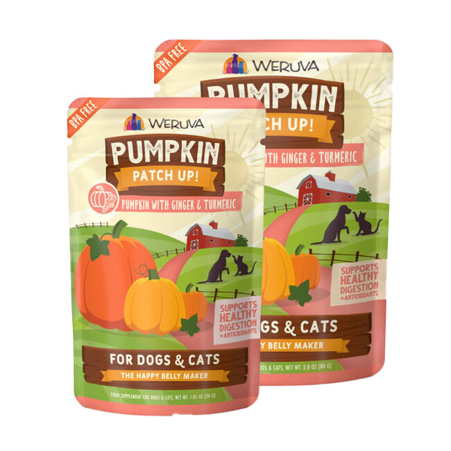 Weruva Pumpkin Patch Up Pumpkin w/ Ginger & Tumeric Supplement for Cats & Dogs image number null