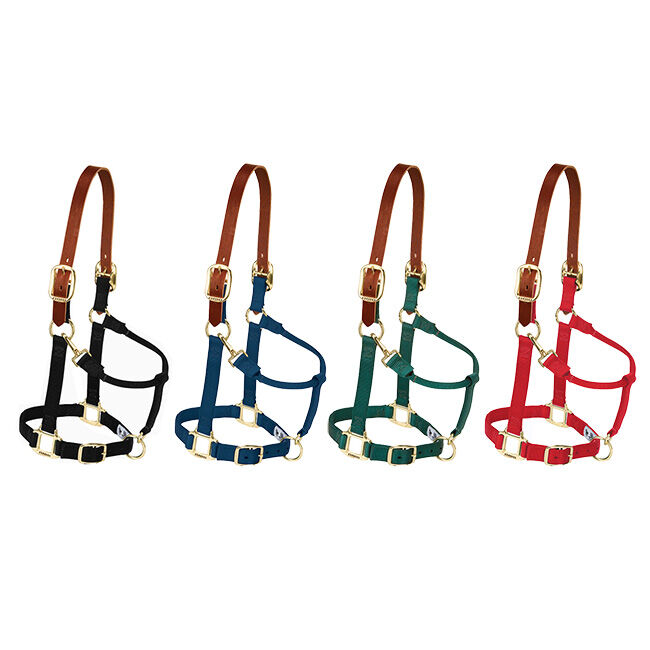 Weaver Breakaway Nylon Halter image number null