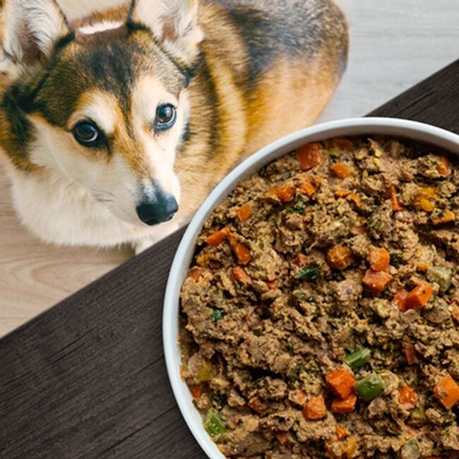 Open Farm GrassFed Beef Gently Cooked Recipe Frozen Dog Food