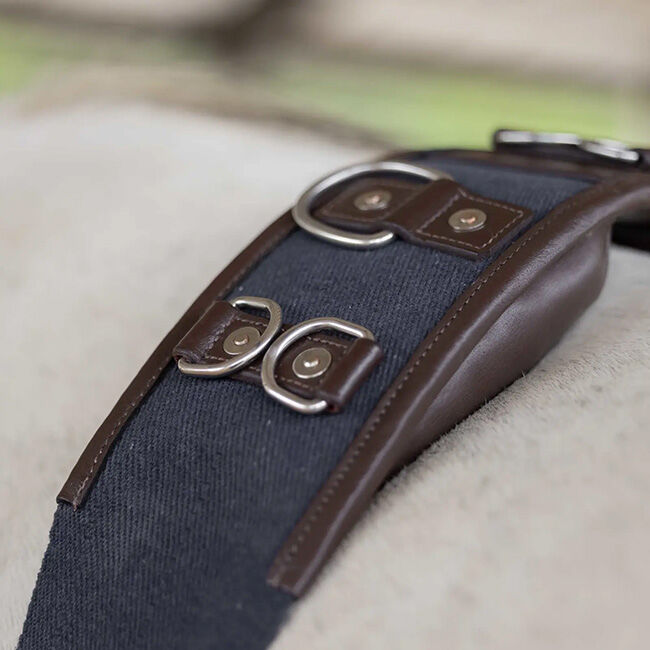 Equinavia Saga Lunge Surcingle - Chocolate Brown/Navy image number null