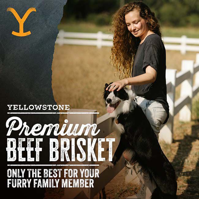 Yellowstone Dutton Ranch Dog Treat Co - Beef Brisket image number null