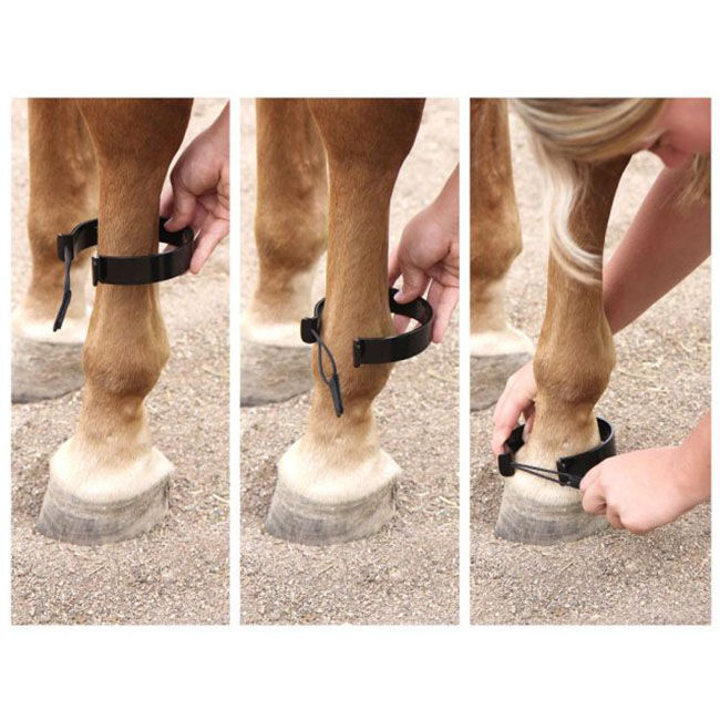 Tough1 Paw-Be-Gone Ankle Bands image number null