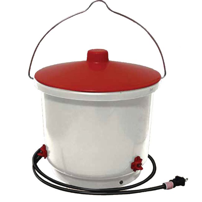 Farm Innovators Heated 2 Gallon Poultry Drinker | The Cheshire Horse