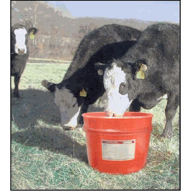 Purina Wind & Rain All Season 4 Mineral Tub Availa 4 The Cheshire Horse