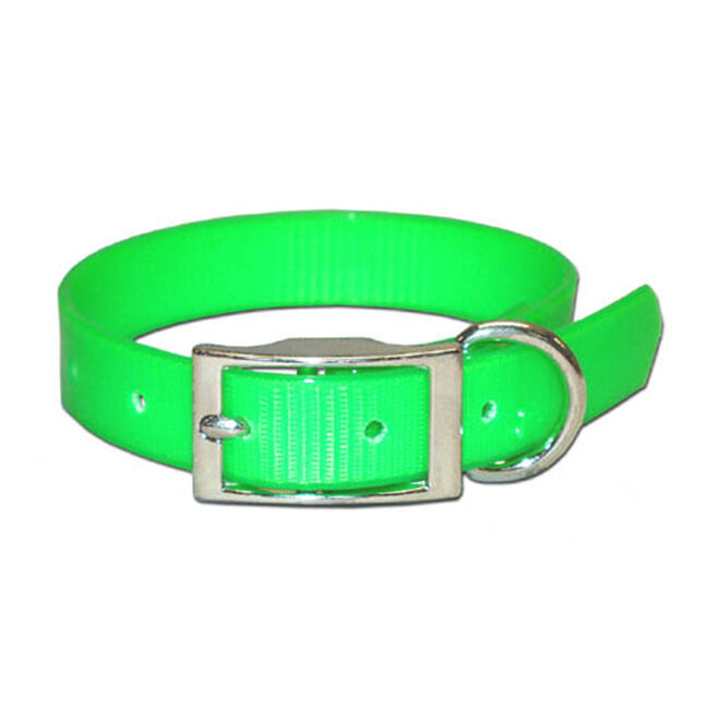 OmniPet SunGlo Collar with D-Ring - Neon Green image number null