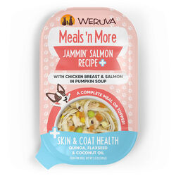 Weruva Dog Meals 'n More - Jammin' Salmon Recipe Plus with Chicken Breast & Salmon in Pumpkin Soup - 3.5 oz