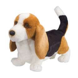 Douglas Harold the Basset Hound