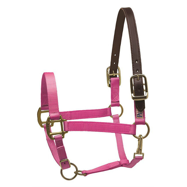 Perri's Leather Nylon Safety Halter image number null
