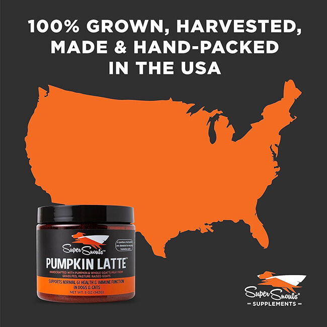 Super Snouts Pumpkin Latte Digestive Supplement for Dogs & Cats - 5 oz image number null