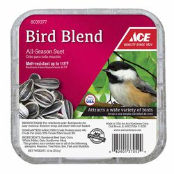 Ace Bird Blend Assorted Species Beef Suet - 11oz