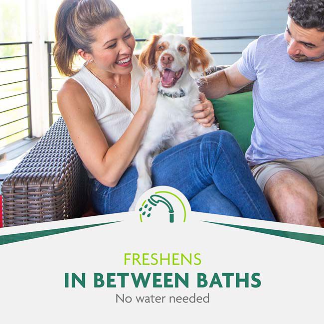 FURminator Dry Shampoo image number null