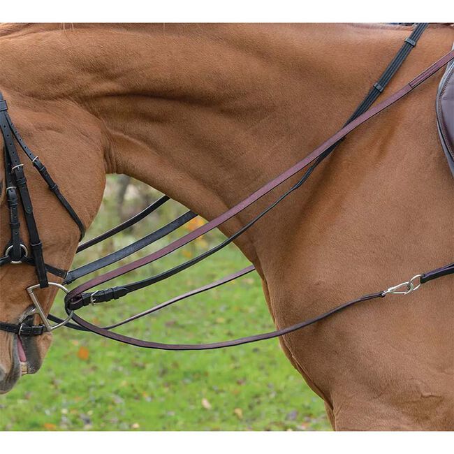 Shires Avignon Leather Draw Reins image number null