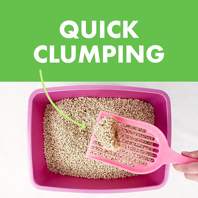 Weruva Cat Litter with Hinoki Wood & Green Tea image number null