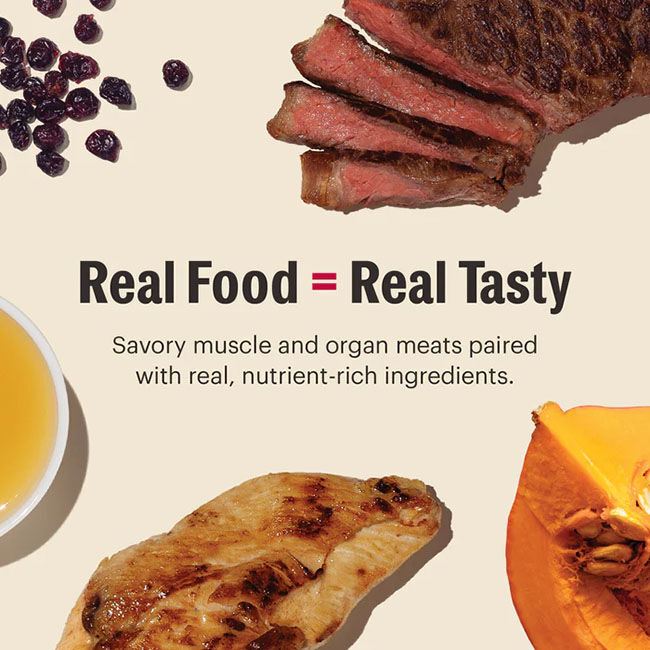 The Honest Kitchen Grain-Free Cate Cat Food - Beef & Chicken Recipe image number null