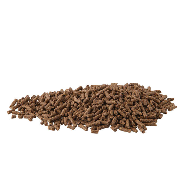 Hygain Balanced Horse Feed image number null