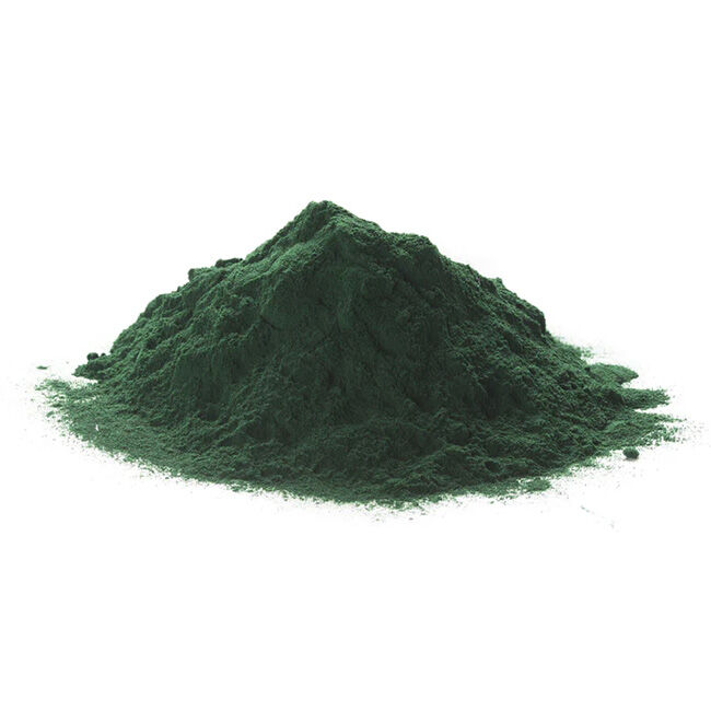 Equine Chia Organic Spirulina - 3 lb image number null