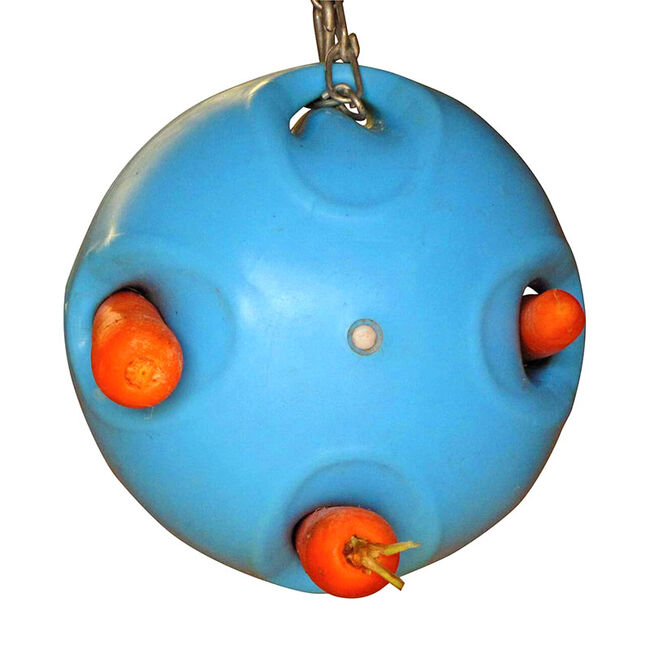 Shires Carrot Ball - Closeout image number null