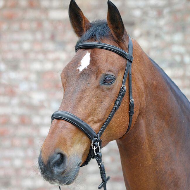 Waldhausen Bitless Bridle